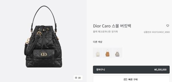 디* Caro 스몰 버킷백