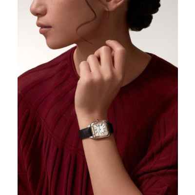 까*** 산토스 뒤몽 워치