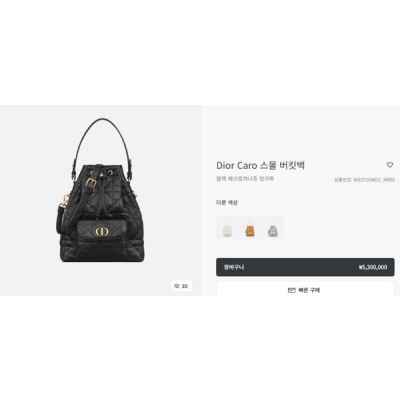 디* Caro 스몰 버킷백